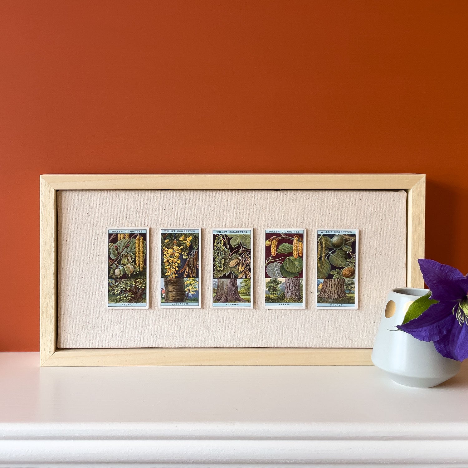 DISCONTINUED – Collectors Cards Artwork – Flowering Trees & Scrubs No.1