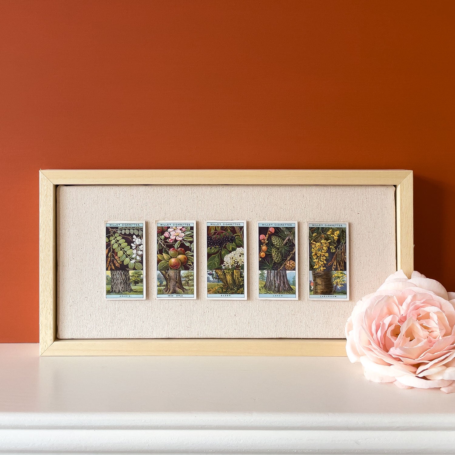 DISCONTINUED – Collectors Cards Artwork – Flowering Trees & Scrubs No.3
