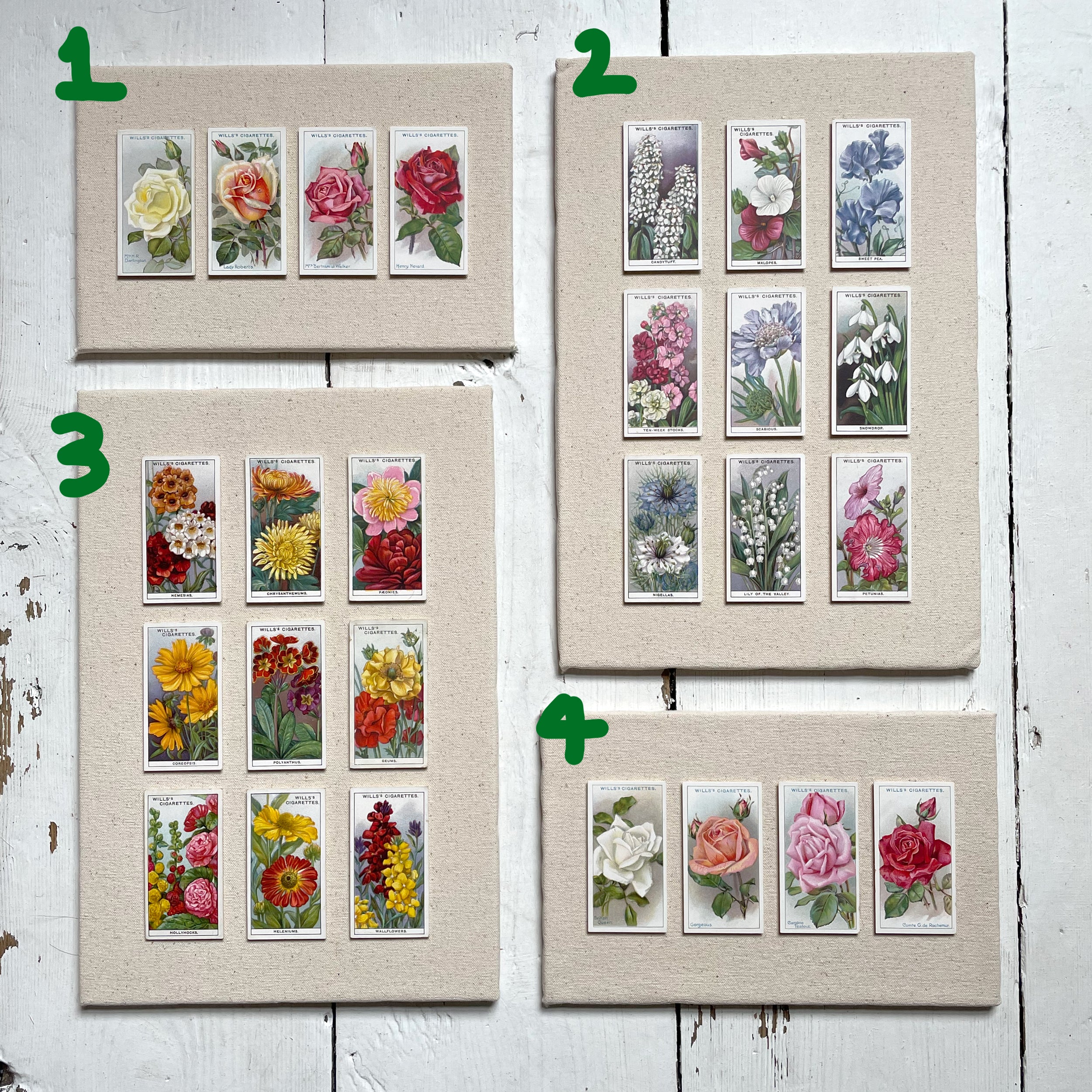 DISCONTINUED – Collectors Card Artwork (Unframed) – Garden Flowers & Roses