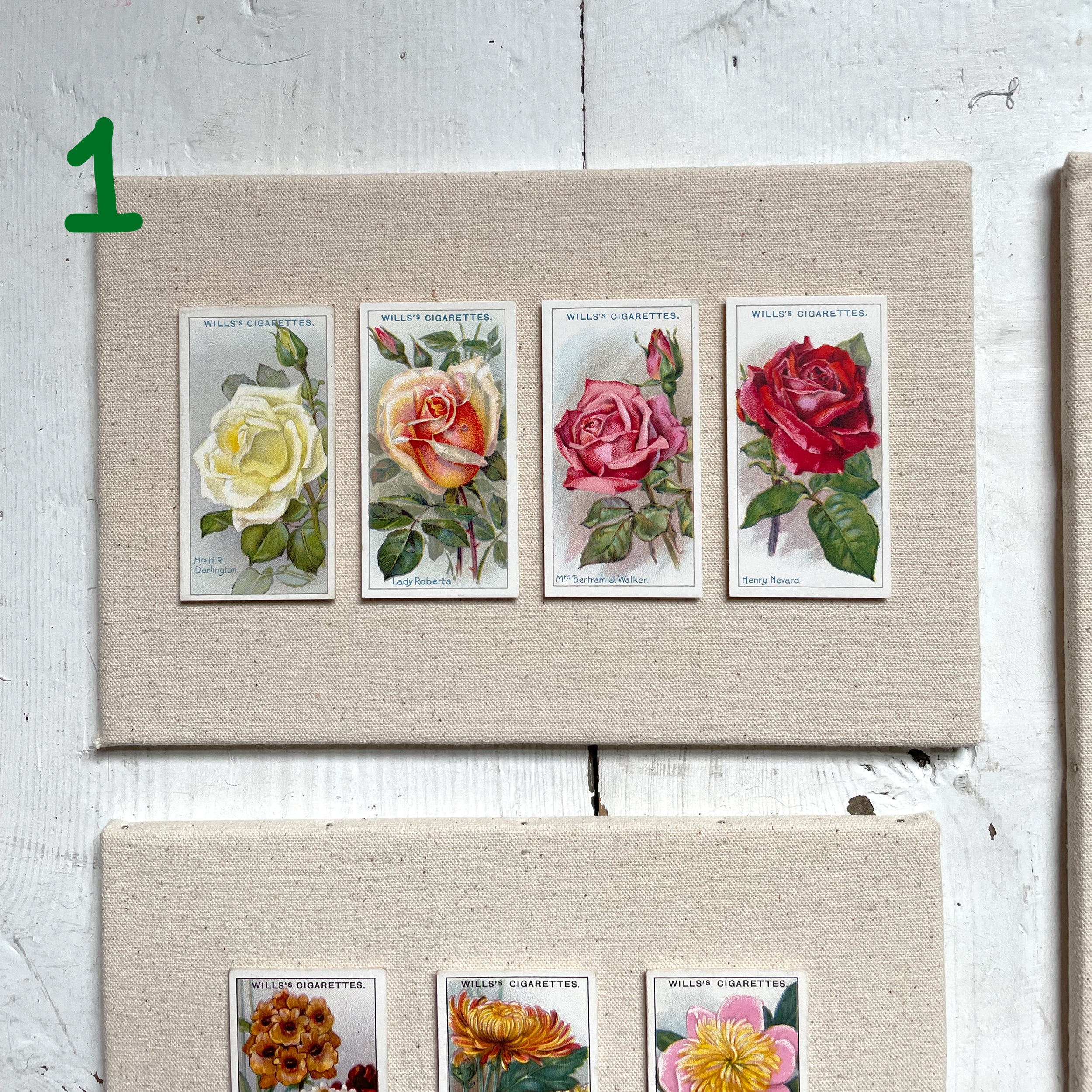 DISCONTINUED – Collectors Card Artwork (Unframed) – Garden Flowers & Roses