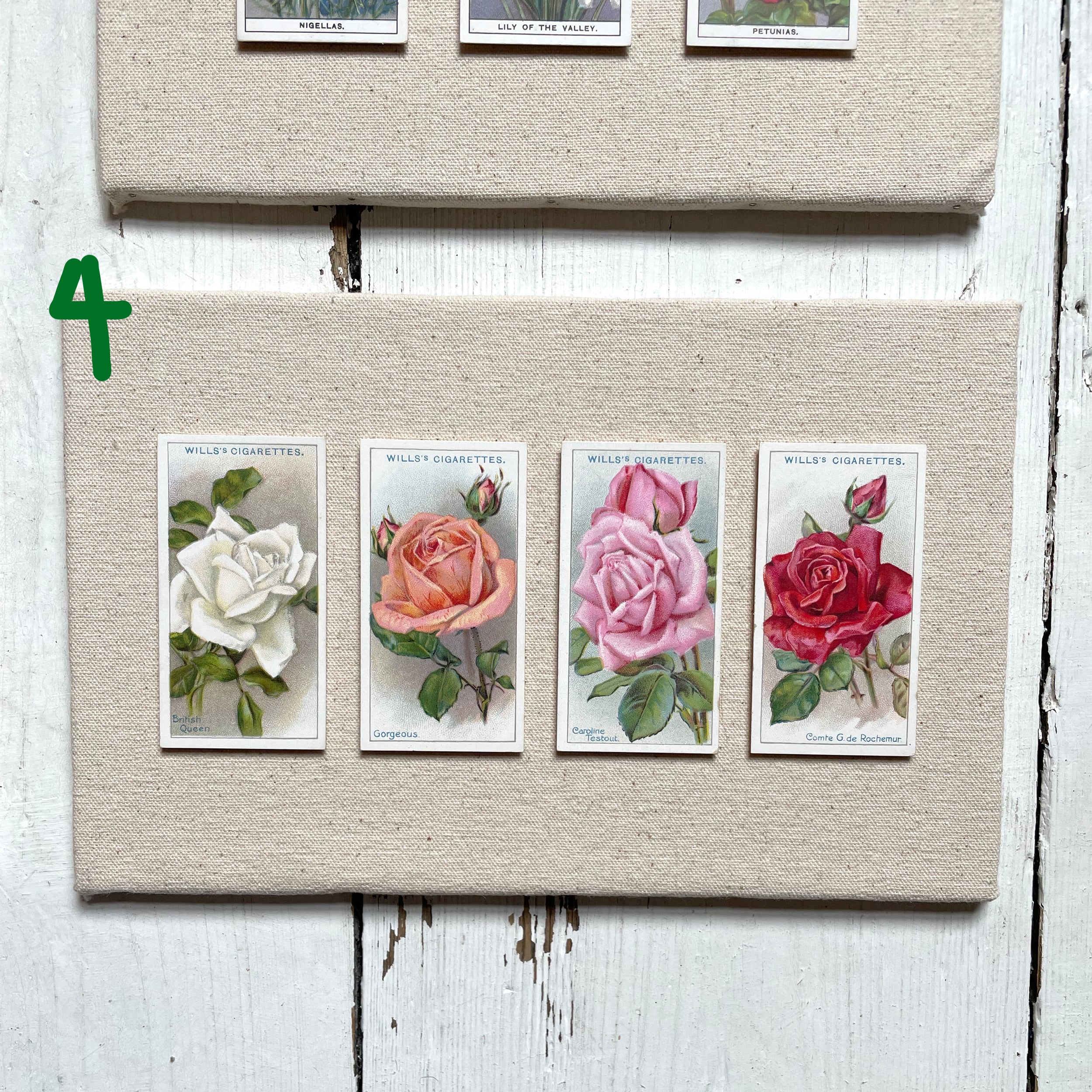 DISCONTINUED – Collectors Card Artwork (Unframed) – Garden Flowers & Roses
