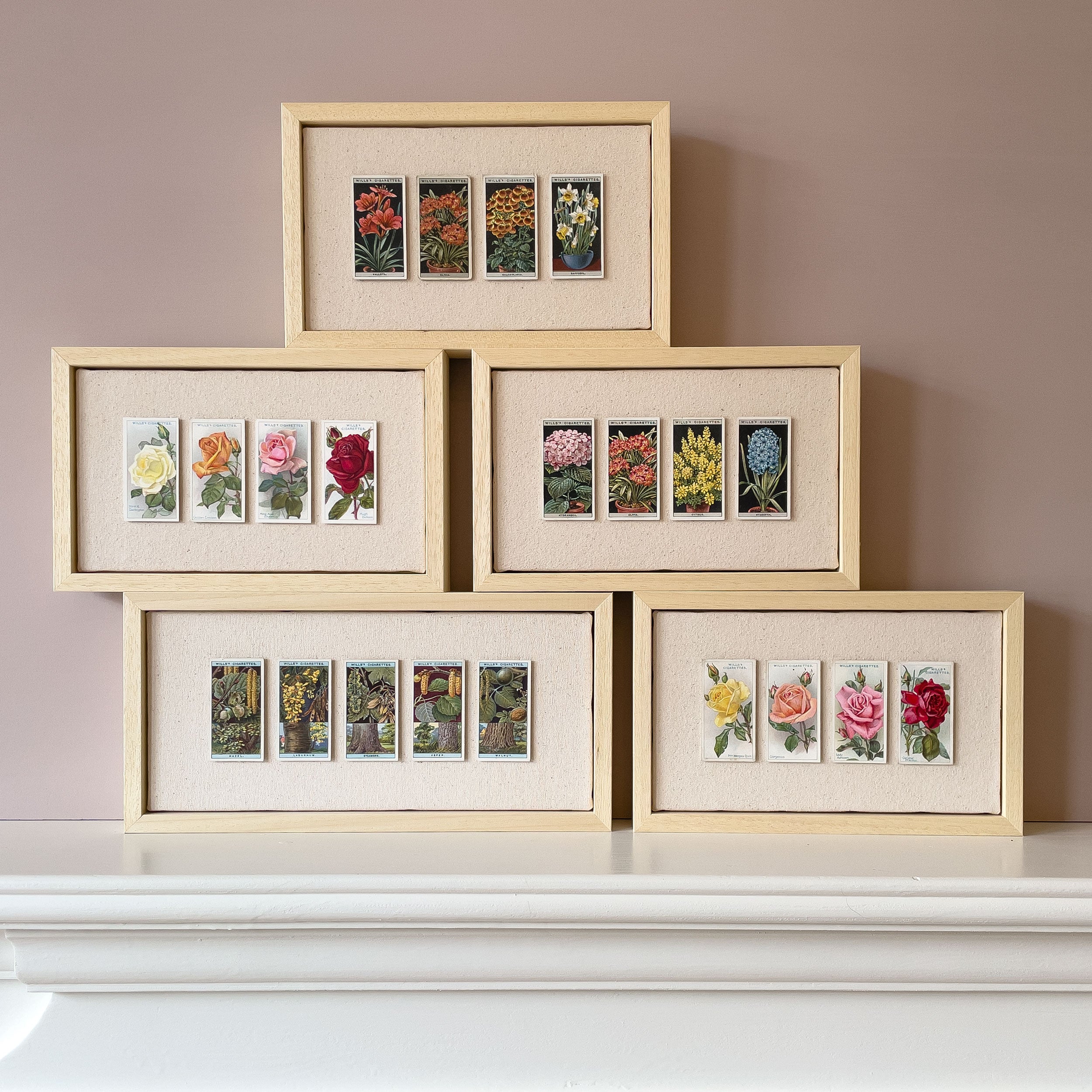 DISCONTINUED – Collectors Card Artwork (Unframed) – Garden Flowers & Roses